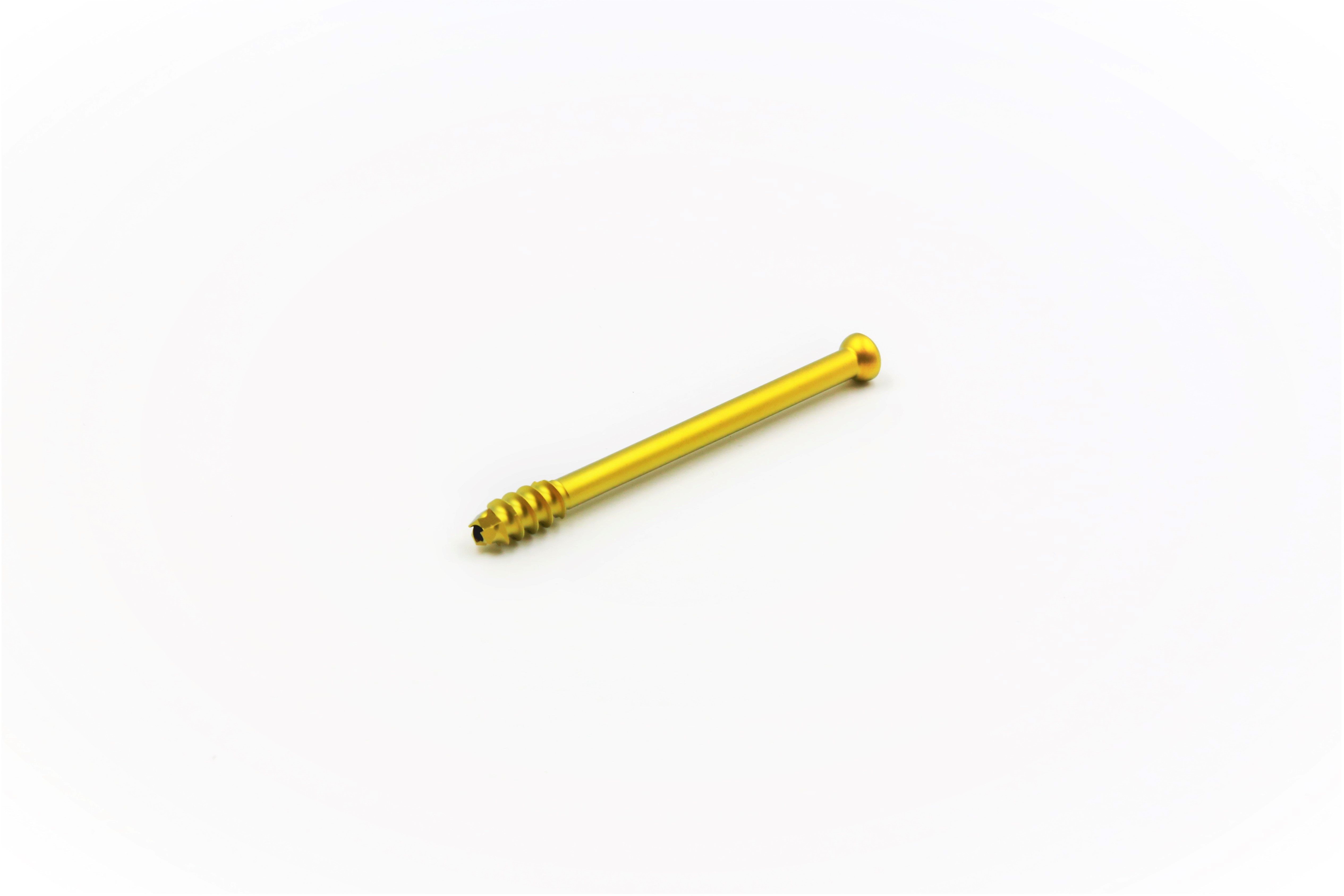 Ball head cannulated bone screw