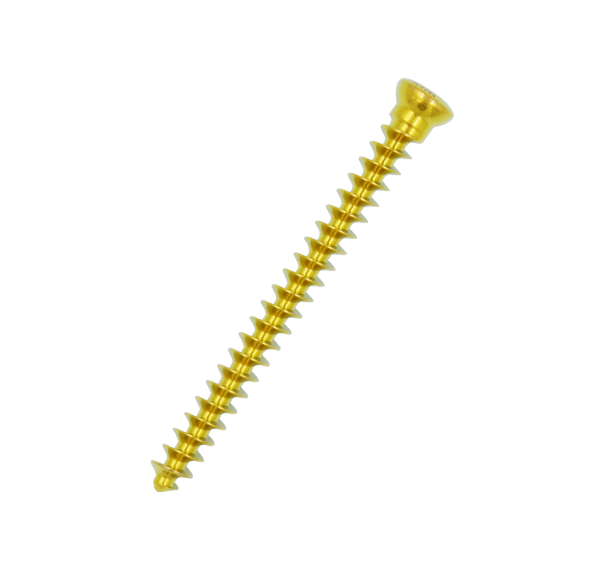 Cancellous bone screw
